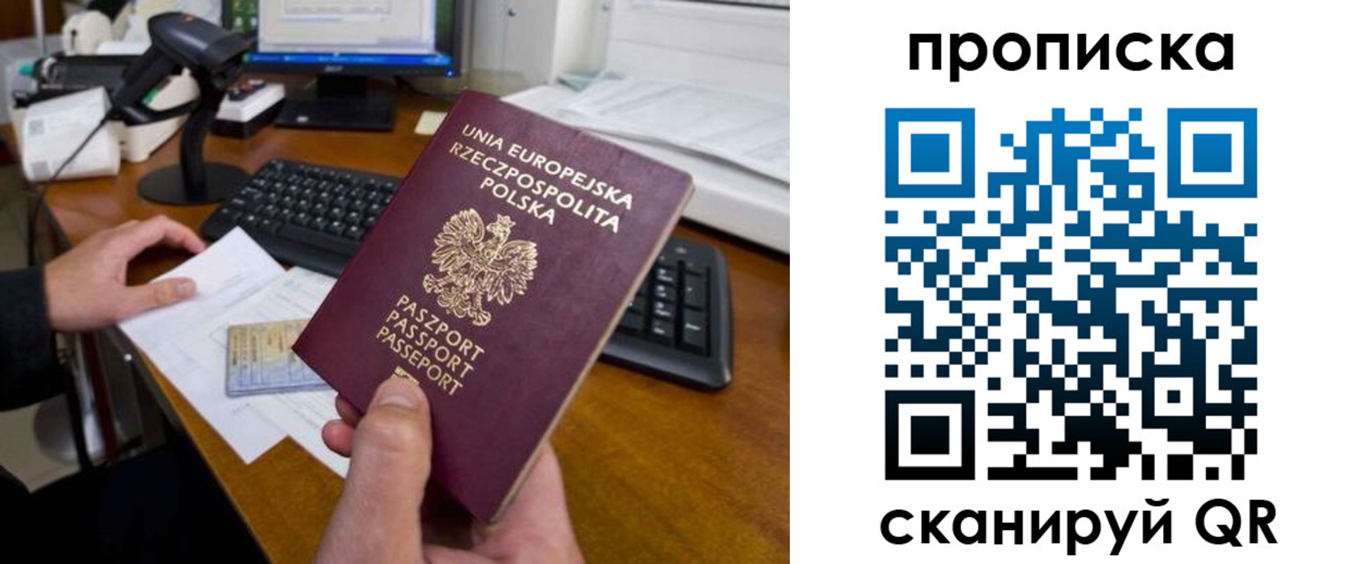 прописка для школы в Струнино